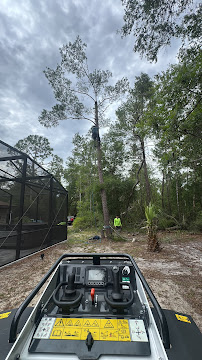 Skid steer view of wooded lot tree clearing job