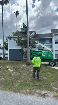 Lift positioned next to apartment building for tree work
