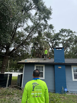 Crew member overseeing rooftop tree removal