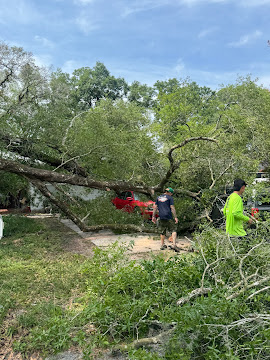 Crew clearing a large fallen tree blocking a driveway