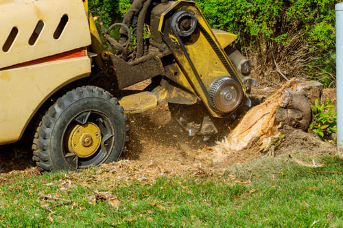 Stump & Debris Cleanup